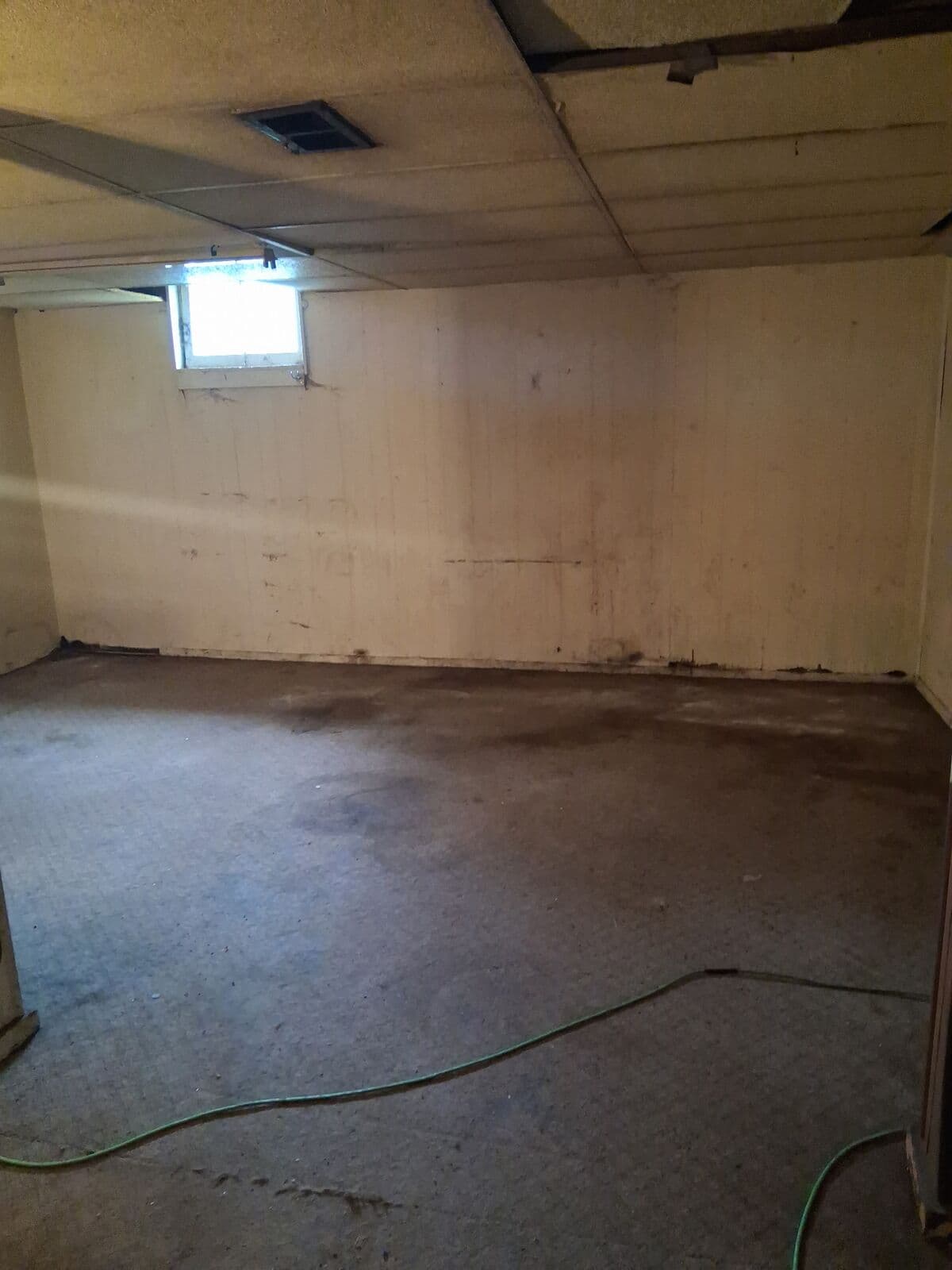 After: Basement room fully cleared to empty walls and floor