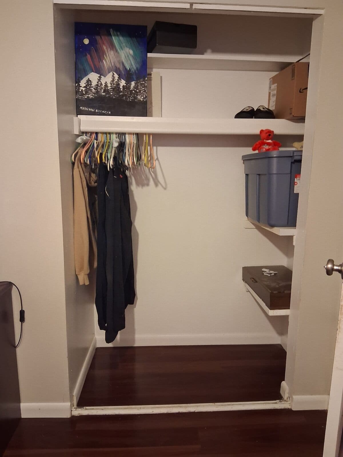 After: Closet organized with clothes hung and bins on shelves