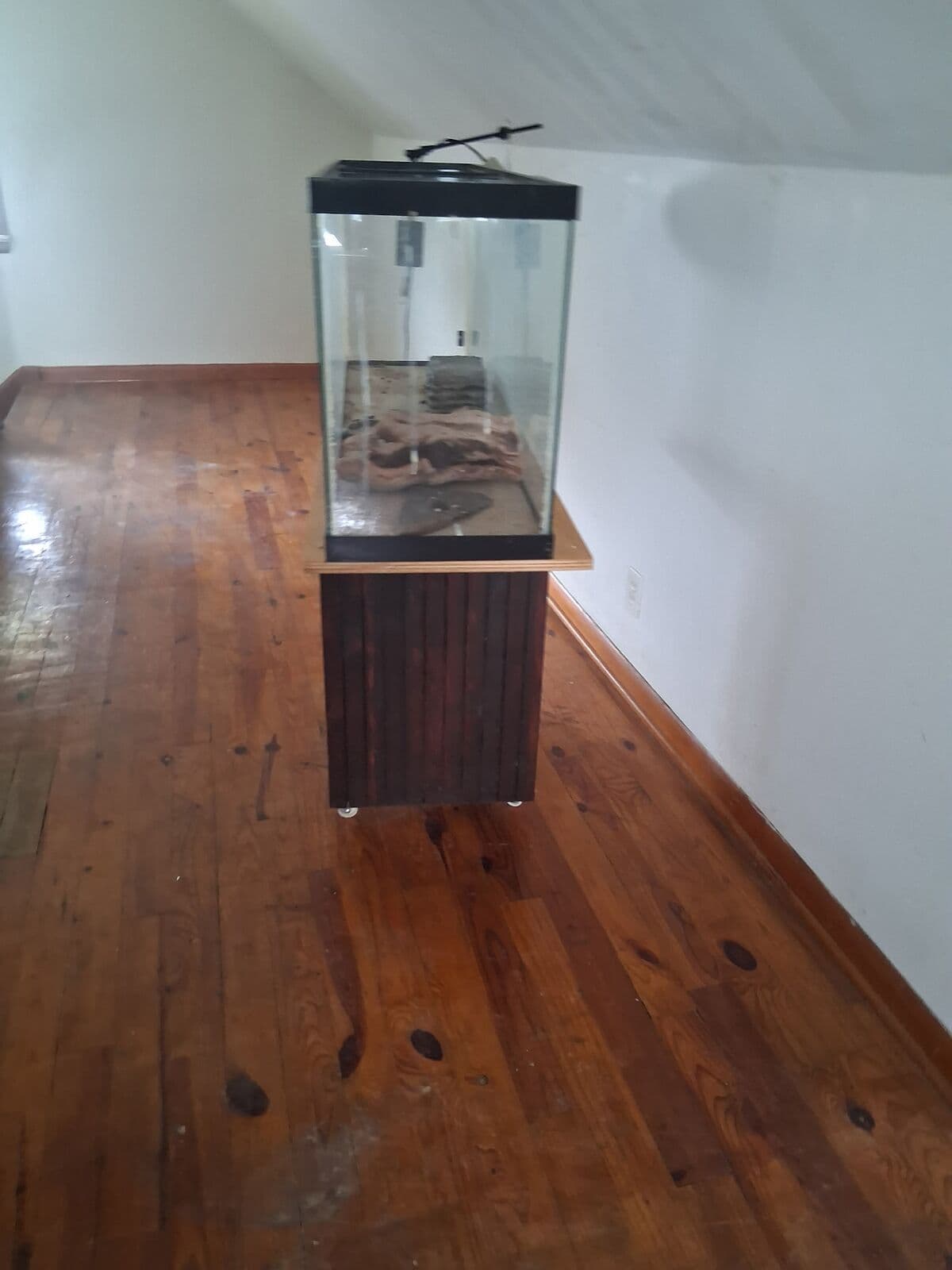 After: Upstairs room cleared with only an aquarium stand remaining