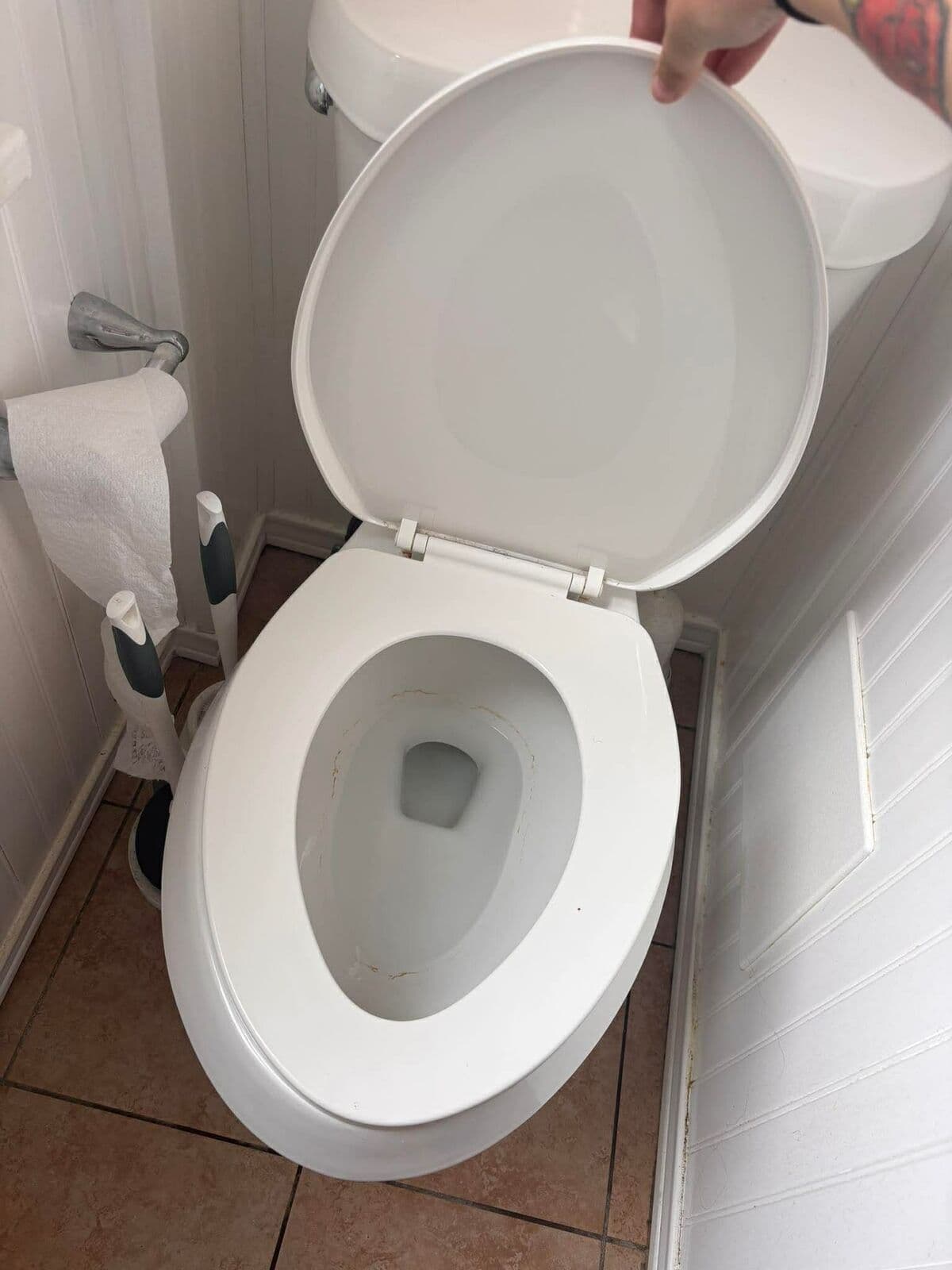 After: Toilet cleaned and sanitized