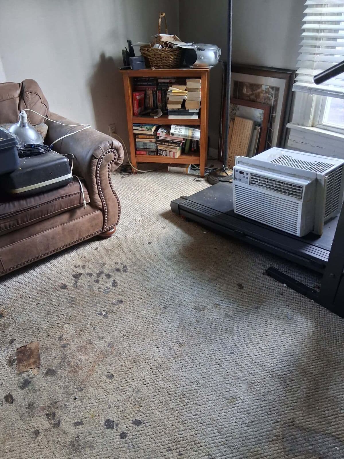 After: Living room cleared of trash with the carpet visible