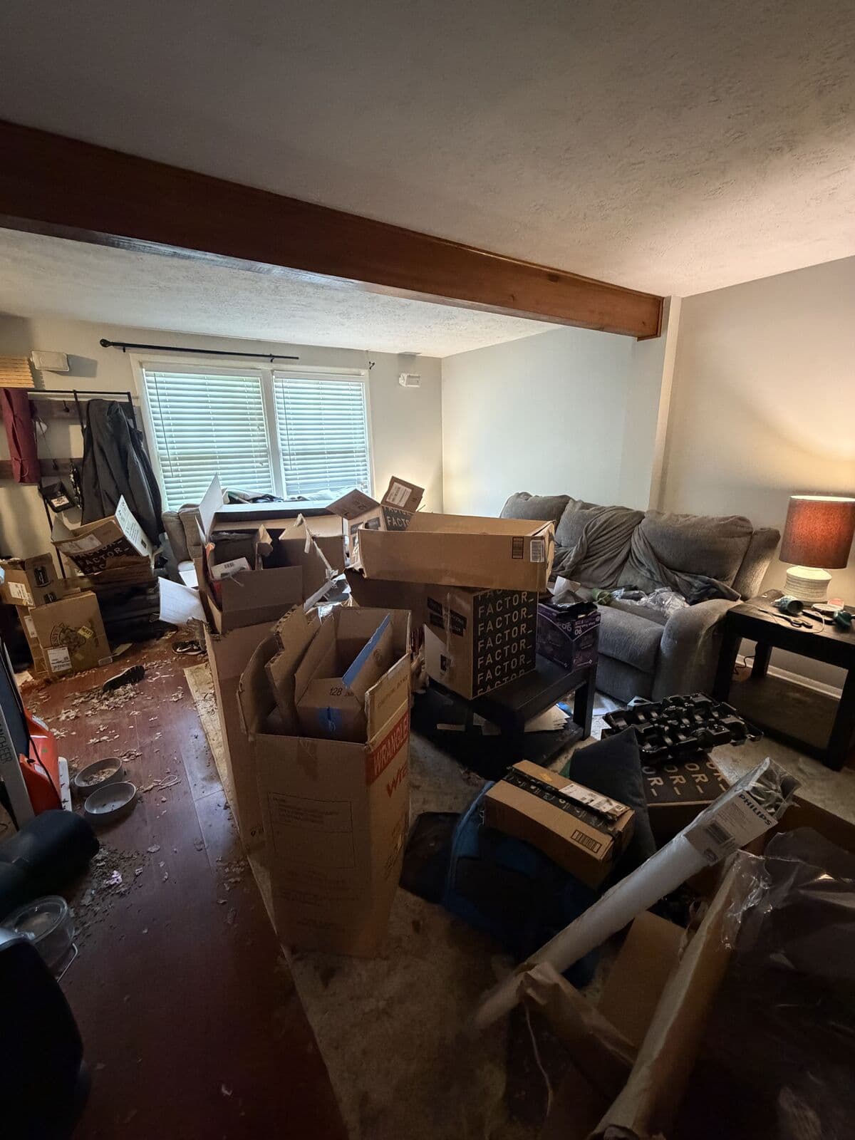 Before: Living room packed with stacked boxes and debris